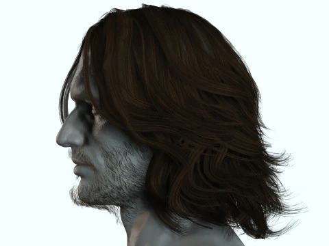 Hair Beard Brows Mustache Classic 3D Model