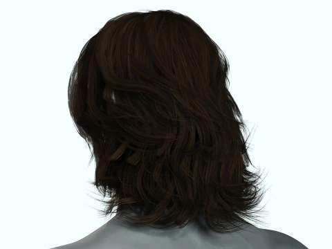 Hair Beard Brows Mustache Classic 3D Model