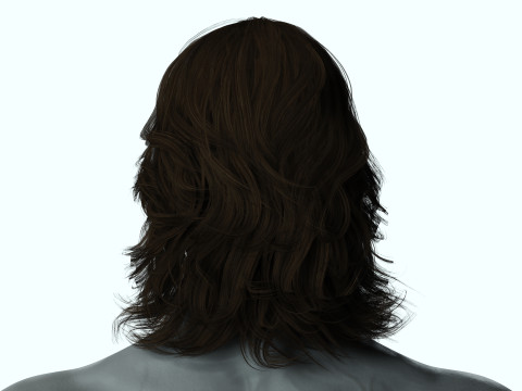 Hair Beard Brows Mustache Classic 3Dモデル