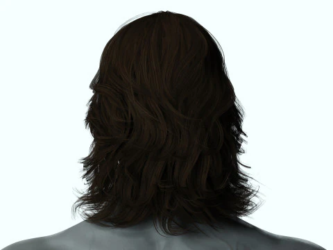 Hair Beard Brows Mustache Classic 3D Model