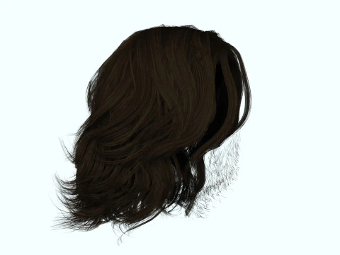 Hair Beard Brows Mustache Classic 3D Model