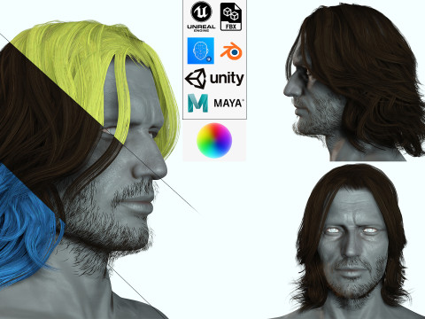 Hair Beard Brows Mustache Classic 3D 模型