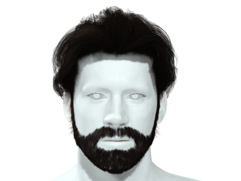 Realistic Hair Beard brows mustache 3Dモデル