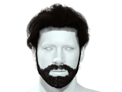 Realistic Hair Beard brows mustache 3D Model