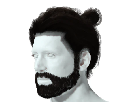 Realistic Hair Beard brows mustache 3D Model