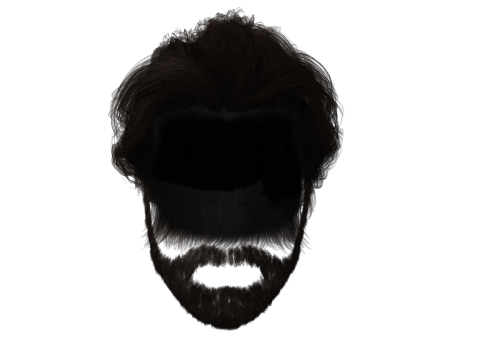 Realistic Hair Beard brows mustache 3Dモデル