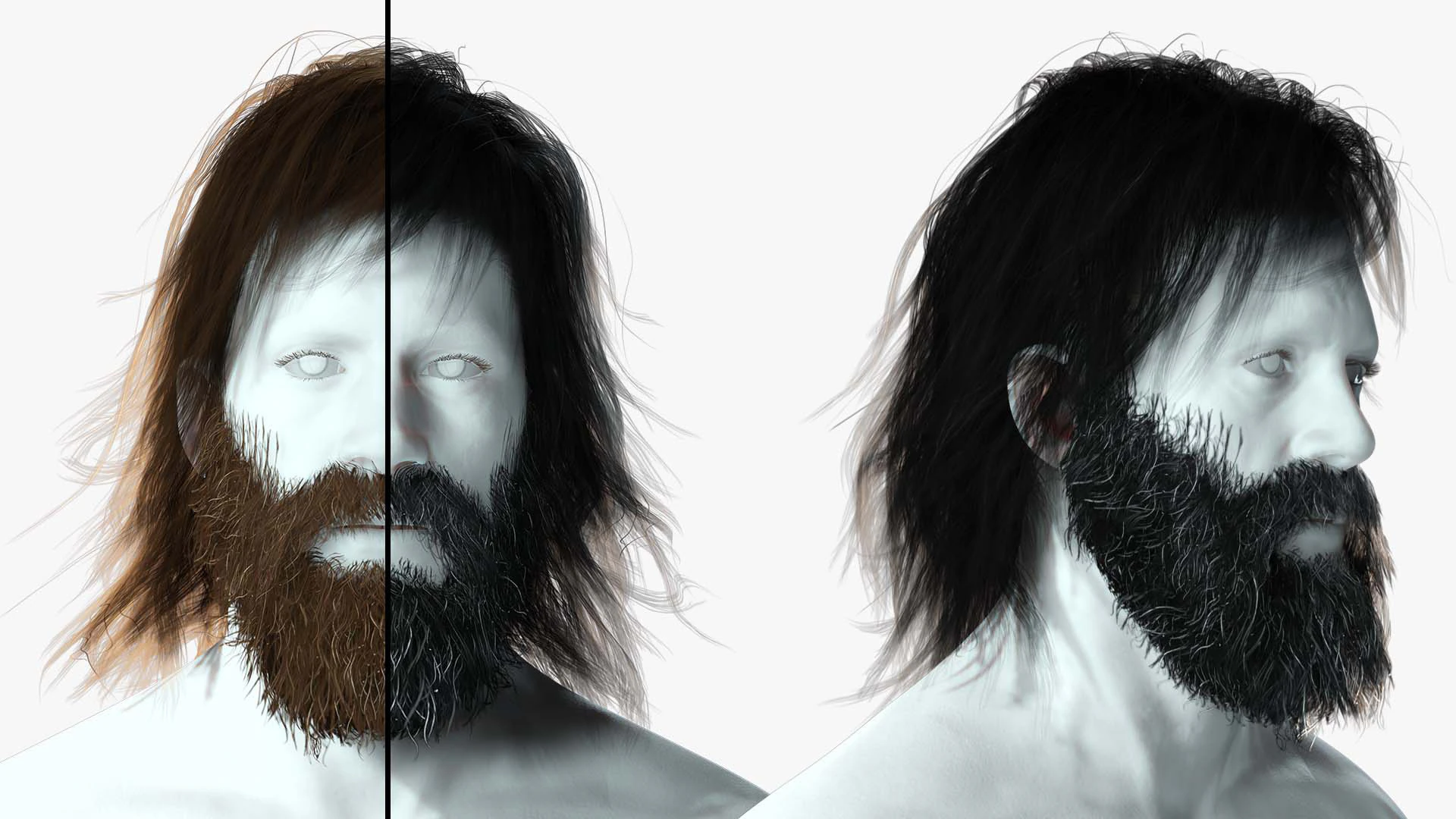 Realistic Hair Beard brows mustache 3D Model .c4d .max .obj .3ds .fbx .stl .blend