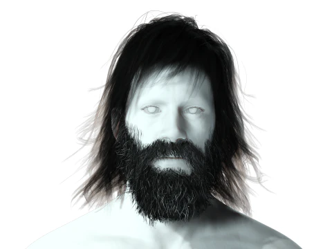 Realistic Hair Beard brows mustache 3D Model