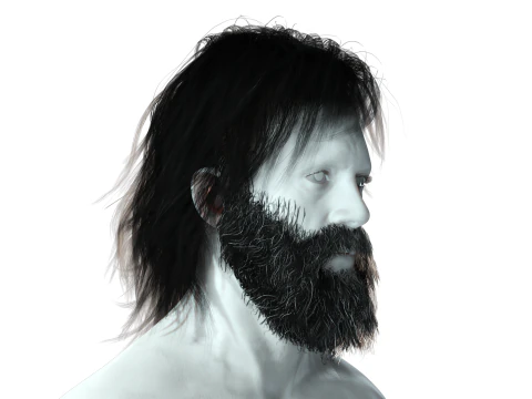 Realistic Hair Beard brows mustache 3D Model