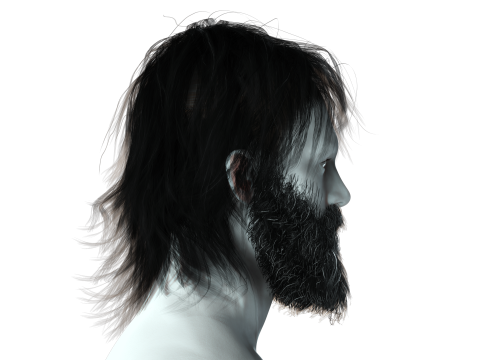 Realistic Hair Beard brows mustache Modèle 3D