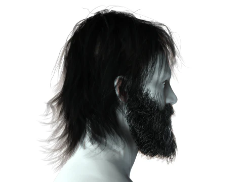 Realistic Hair Beard brows mustache 3D Model