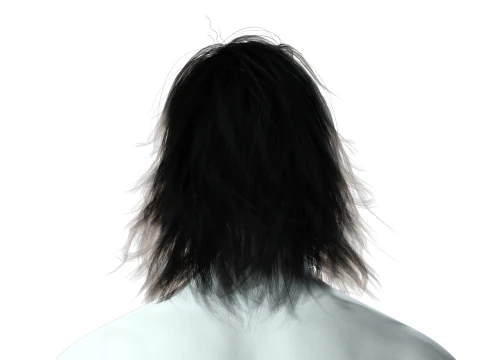 Realistic Hair Beard brows mustache 3D Model