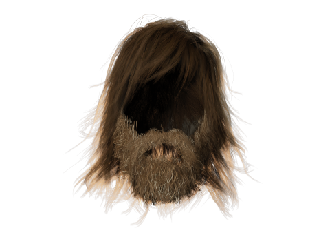 Realistic Hair Beard brows mustache Modèle 3D