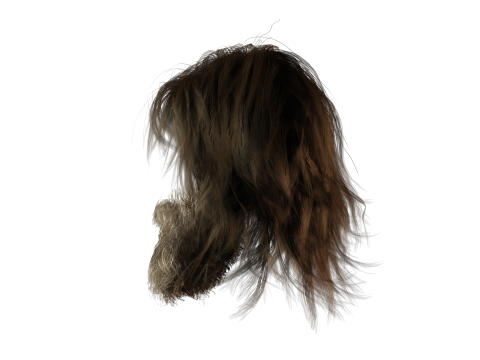Realistic Hair Beard brows mustache Modèle 3D