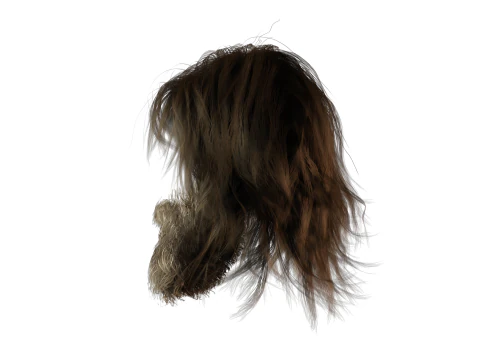 Realistic Hair Beard brows mustache 3D Model