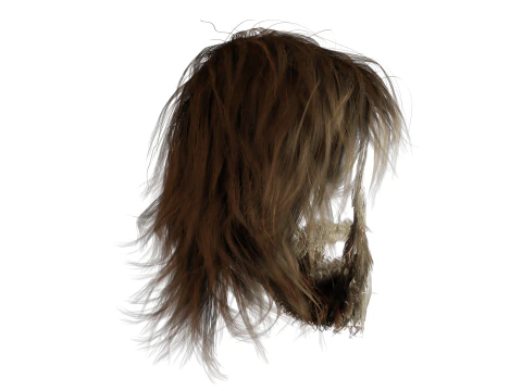 Realistic Hair Beard brows mustache 3D Model