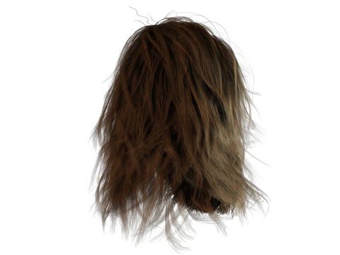 Realistic Hair Beard brows mustache 3D Model