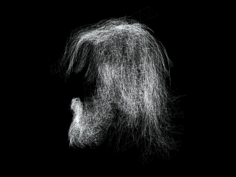 Realistic Hair Beard brows mustache Modèle 3D