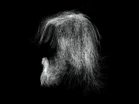 Realistic Hair Beard brows mustache 3D Model