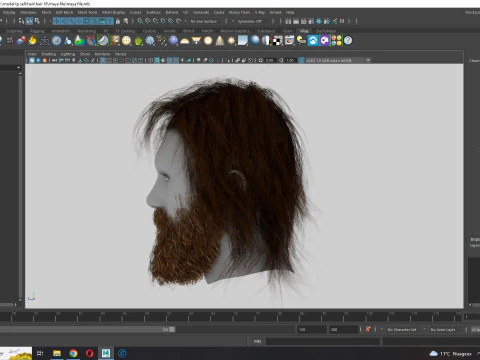 Realistic Hair Beard brows mustache 3D Model
