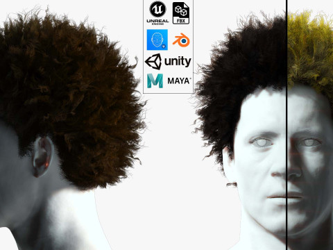 Realistic Hair afro 3D 模型