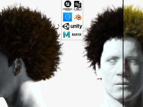 Cabelo afro realista Modelo 3D