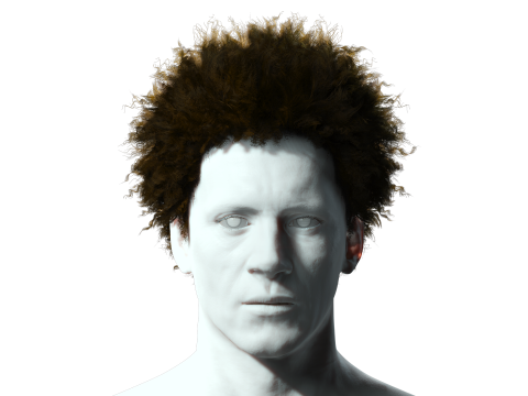 Realistic Hair afro 3D 모델