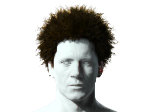 Cabelo afro realista Modelo 3D
