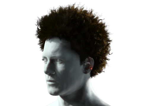 Cabelo afro realista Modelo 3D