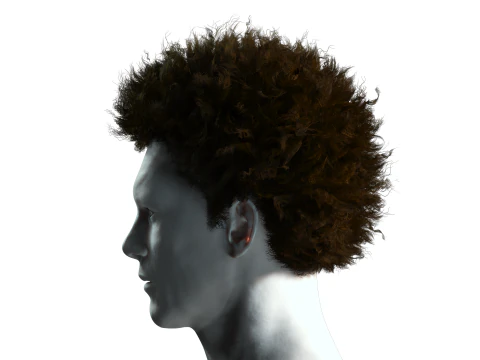 Cabelo afro realista Modelo 3D
