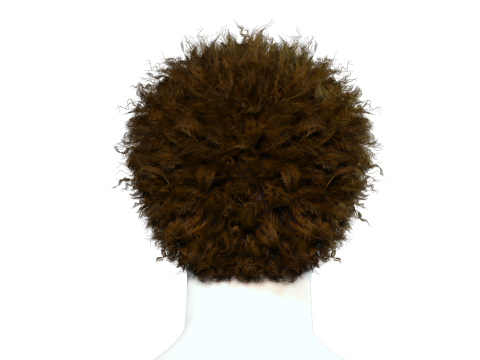 Realistic Hair afro 3D 모델