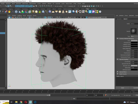 Cabelo afro realista Modelo 3D