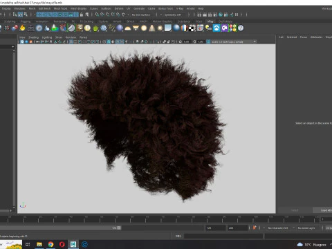 Cabelo afro realista Modelo 3D