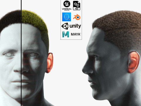 Realistic Hair male 3D 模型