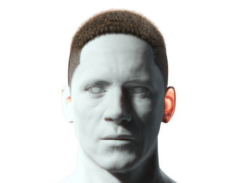 Realistic Hair male 3D Model