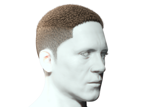 Realistic Hair male 3D Model