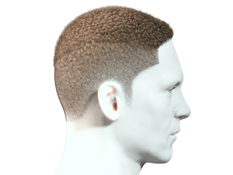 Realistic Hair male 3D Model