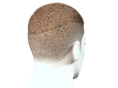 Realistic Hair male 3D Model