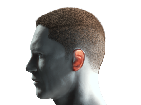 Realistic Hair male 3D Model