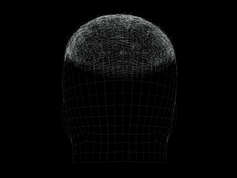Realistic Hair male 3D Model