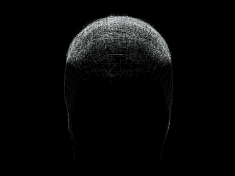 Realistic Hair male 3D Model
