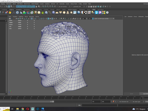 Realistic Hair male 3D Model