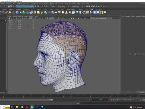Realistic Hair male 3D Model