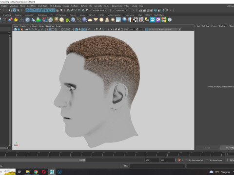 Realistic Hair male 3D Model