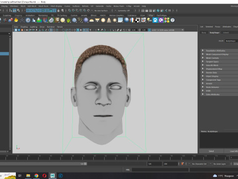 Realistic Hair male 3D Model