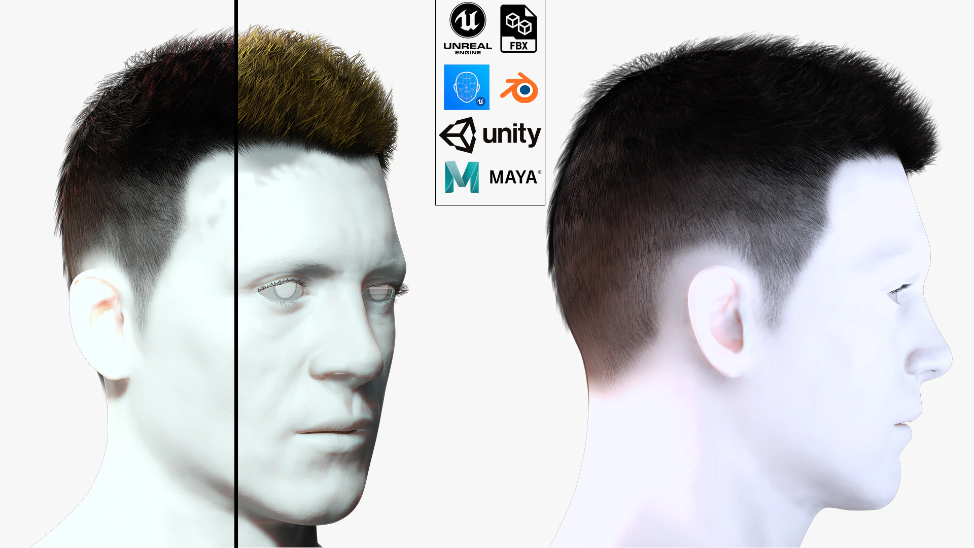 Realistic Hair hawk 3D Model .c4d .max .obj .3ds .fbx .stl .blend 