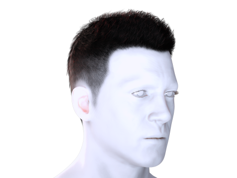 Realistic Hair hawk 3D 모델
