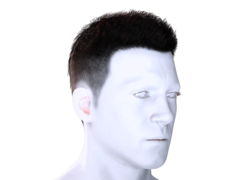 Realistic Hair hawk 3D Model