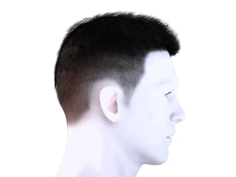 Realistic Hair hawk 3D Model