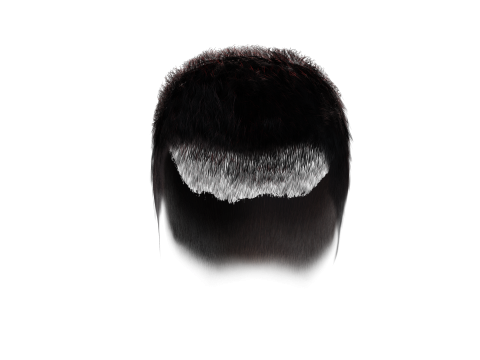 Realistic Hair hawk 3D 모델